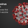 FDA、ファイザー製正式承認 新型コロナワクチン、米国初