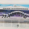 羽生結弦が福原愛に代わって中国で大人気となった訳―華字メディア