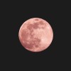 ４月最初の満月「ピンク・ムーン」 見頃は5日午後７時頃