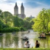 NY市、過去最高の植樹本数を記録　熱に弱いエリア中心、暑さの影響軽減
