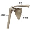 DR.高田洋平　FUNCPHYSIOの気になる体のはなし　Vol.10　肩関節の運動連鎖
