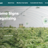 ニューヨーク州大麻管理局 ウェブサイトを開設