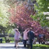 【ニューヨーク旅学事典13】ニューヨークの春を楽しむ「リバーサイド・パーク」
