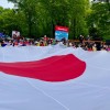第２回「ジャパンパレード」23年５月開催 Japan Day Inc.