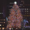 ロックフェラー・センターのクリスマスツリーを見に行こう