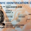 NY市IDカードの申請、金曜午後が狙い目　需要急増で予約困難、オンラインか311　