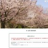 札幌市、花見のジンギスカン禁止