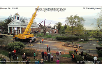 同教会がウェブカメラで公開した伐採の様子(photo: @BRPCwebcam)