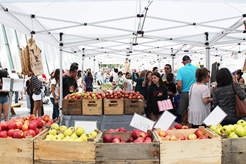 色とりどりの旬の野菜や果物が並ぶ (photo: Akihiko Hirata / 本紙)