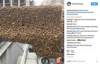 タイムズスクエアに現れたミツバチの大群。アンドリューズハニーのインスタグラム（andrewshoney）より