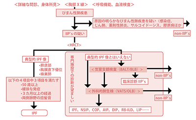 特発性間質性肺炎の診断の流れ （「特発性間質性肺炎の診断・治療ガイドライン」より引用） 