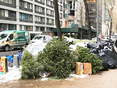 マンハッタン区44丁目の路上に捨てられたクリスマスツリー＝8日午後撮影 （photo: Akihiko Hirata / 本紙）