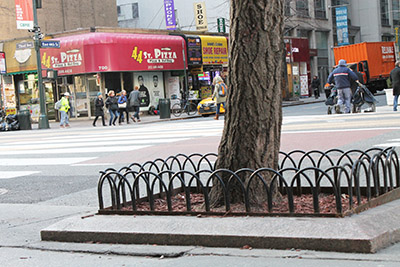 柵が設けられたマンハッタン区の街路樹(photo: Yuriko Anzai / 本紙)