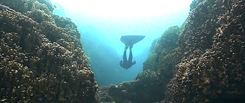 「ZAN」のポスター