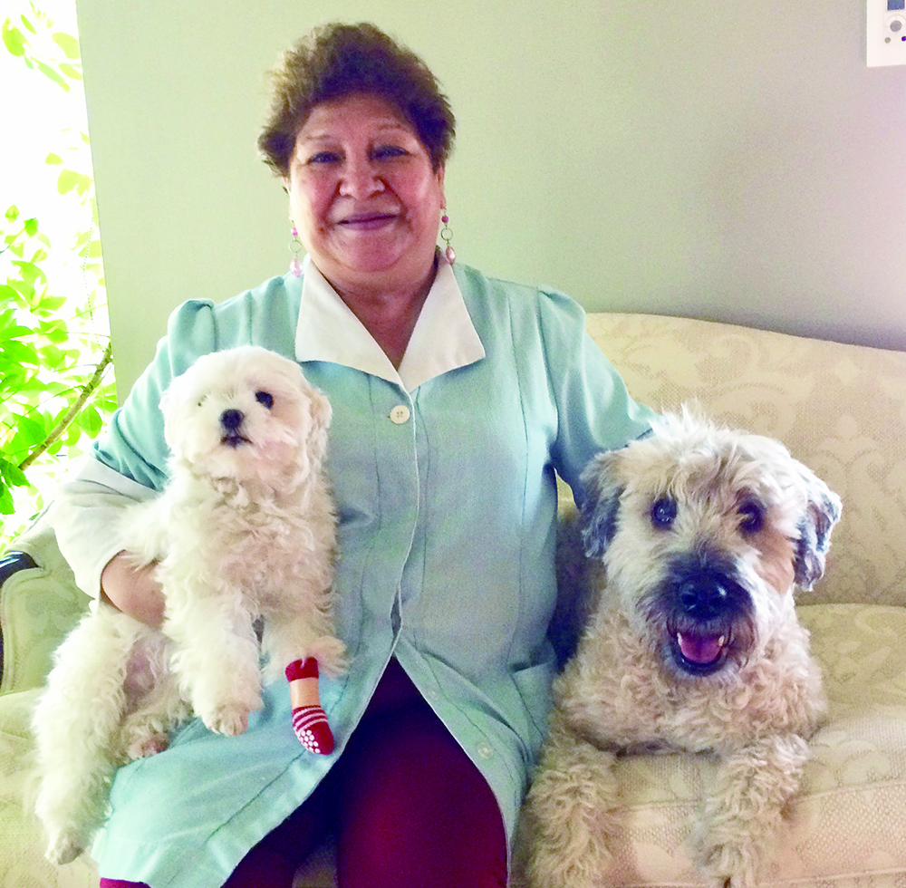 ムギとコメのために、毎日ごはんを手作りしてくれるお手伝いのアンジェリカさんと