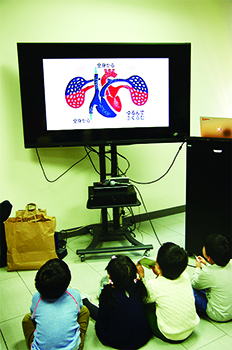 心臓は血のポンプ