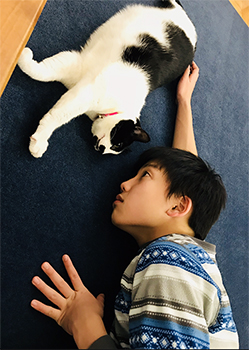 朝陽さん（12）とジェリー（６歳、雌、ドメスティック・ショート・ヘア）は相思相愛の仲。見つめ合う２人…