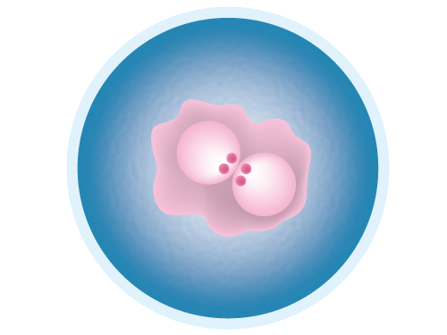 DataBase Center for Life Science (DBCLS)6-2
