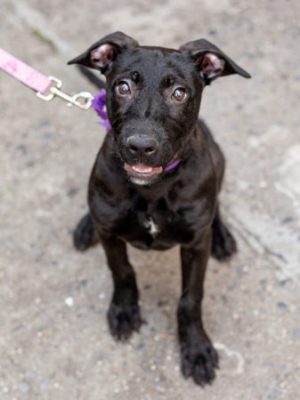 Hermione_2101-337x450