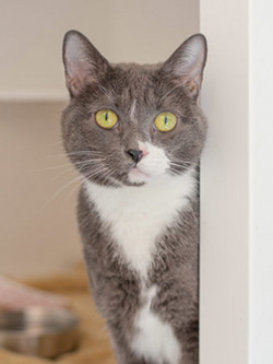 web-SheRa-SMK-0010-338x450