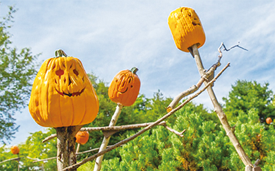 公式ホームページより