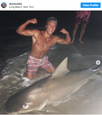 大学生が400ポンドのサメ捕獲 ロングアイランドで目撃情報多数 Daily Sun New York