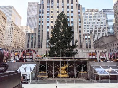 ロックフェラーセンターにクリスマスツリーが登場 点灯式は12月２日 Daily Sun New York