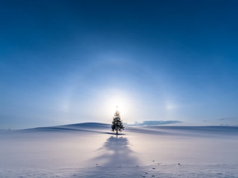 一生に一度は見たい 北海道の自然と歴史が生んだ 冬の絶景 4選 Dailysun New York