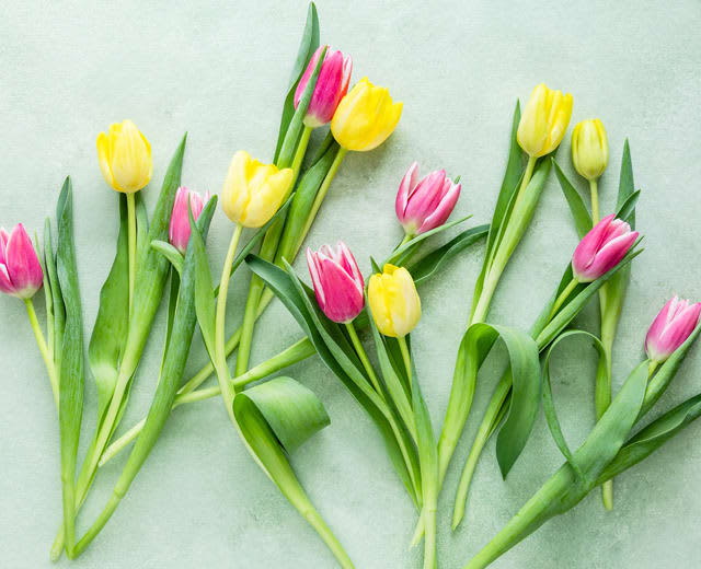 今日の運勢 12星座占いランキング第1位は 21年4月12日の運勢占い 日別運勢 Daily Sun New York