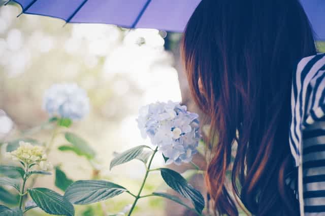 今日の運勢 21年6月6日 日 12星座占いランキング第1位は牡牛座 おうし座 あなたの星座は何位 Daily Sun New York