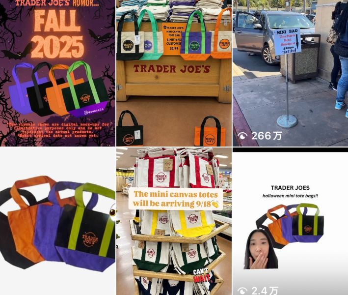 USA大人気トレーダージョーズトレジョハロウィン限定ミニトートバック4色セット 4色セット Trader Joe's トレジョ ミニトート ハロウィン限定品